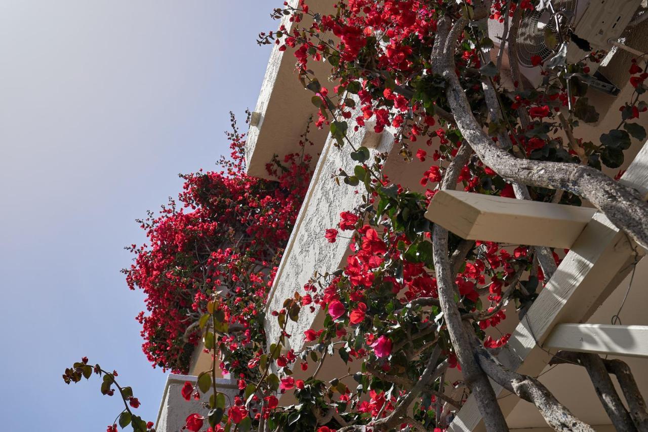 Mila Aparthotel Malia
